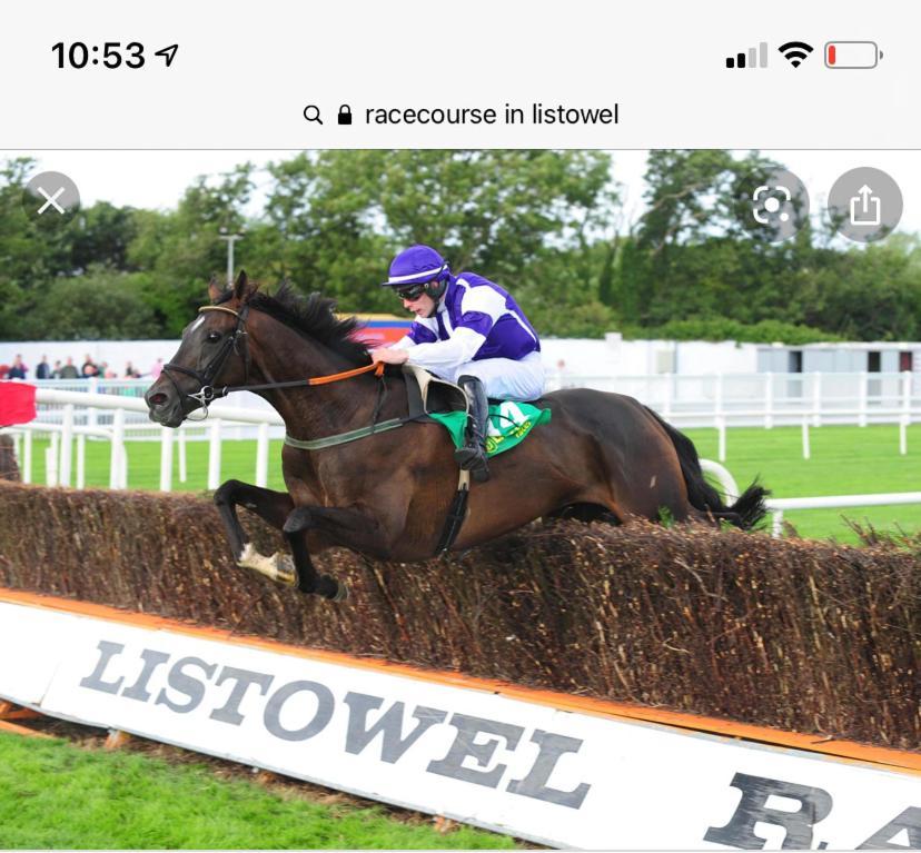 Hotel Racecourse View Listowel Esterno foto